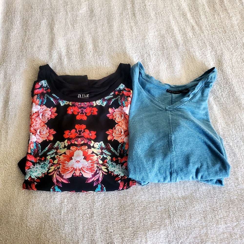 Bundle Of 2 Tops 3X Black Floral And Blue